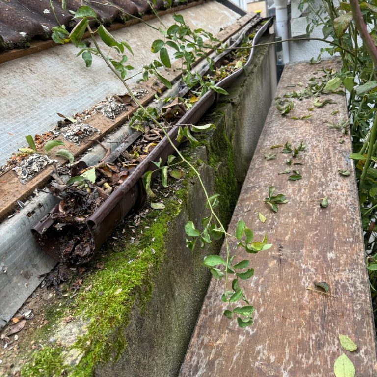 Regenrohr Fallrohr Erneuerung und Mauerabdeckung